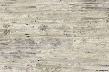 larch-limewashed1-1_805x536_598