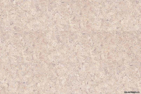 p999creme1_805x536_598