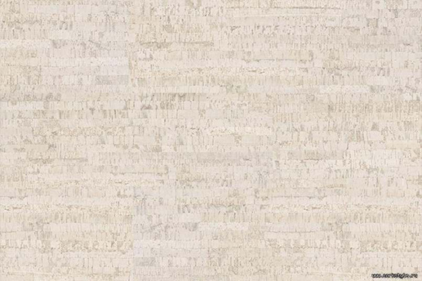 lineawhite1_805x536_598