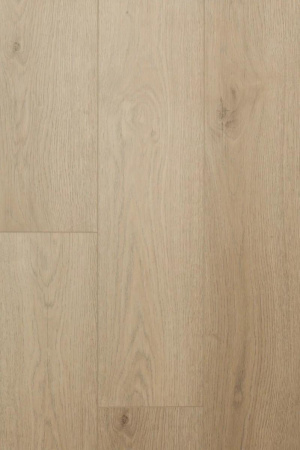 d7m154fzcpml38zy9xi76xsowz4zv0i6 1